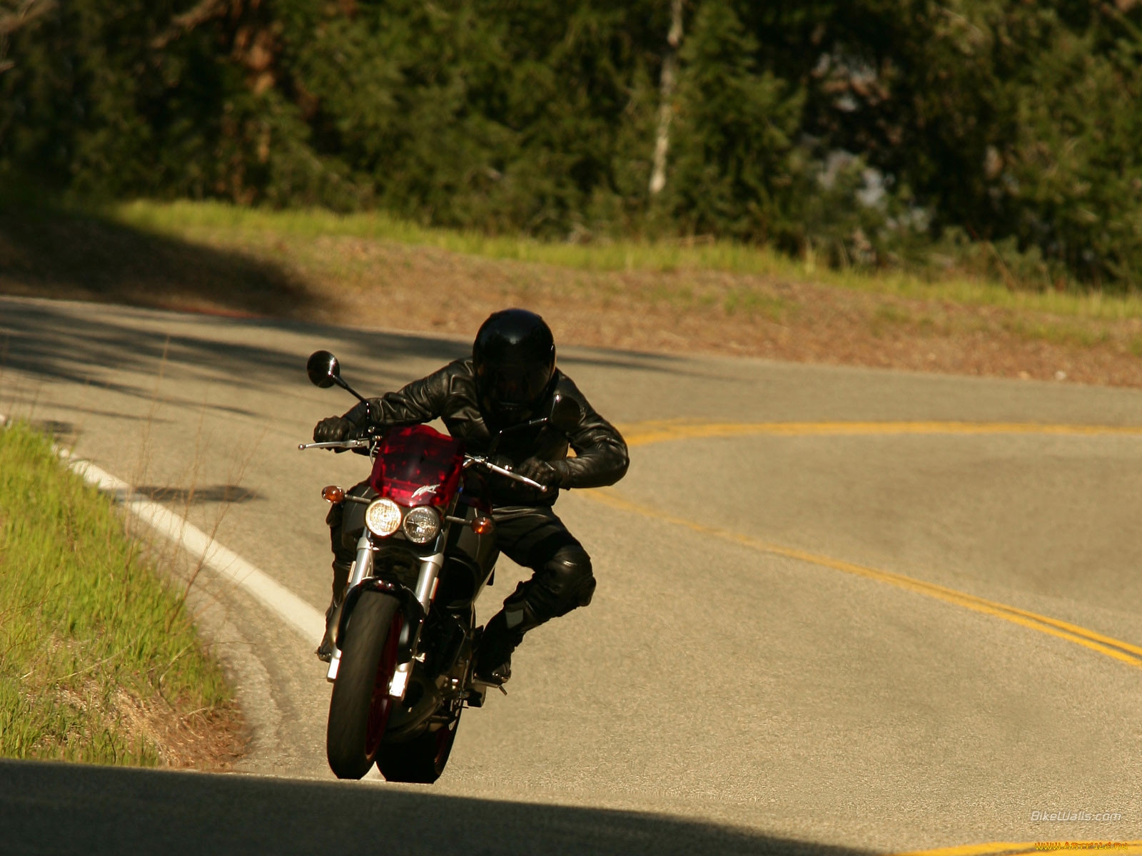 , buell